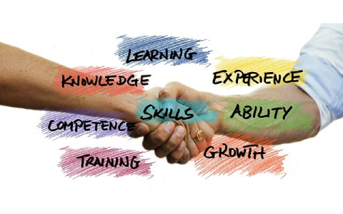 Conseil et formation